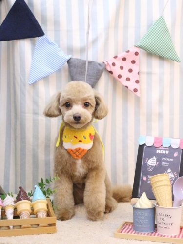 20250513レオくん